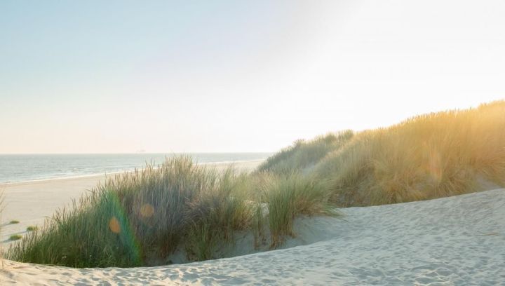 Ameland - Schiermonnikoog - Mudflat Hopping - Tourist Information 