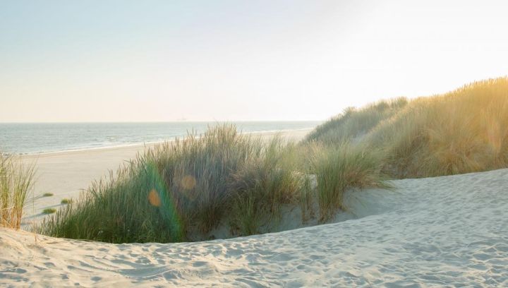 Ameland - Schiermonnikoog - Mudflat Hopping - Tourist Information 