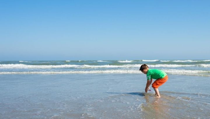 High and low tide - Tourist Information 'VVV' Ameland