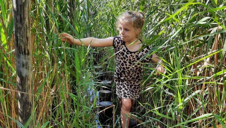 Barefoot path - VVV Ameland