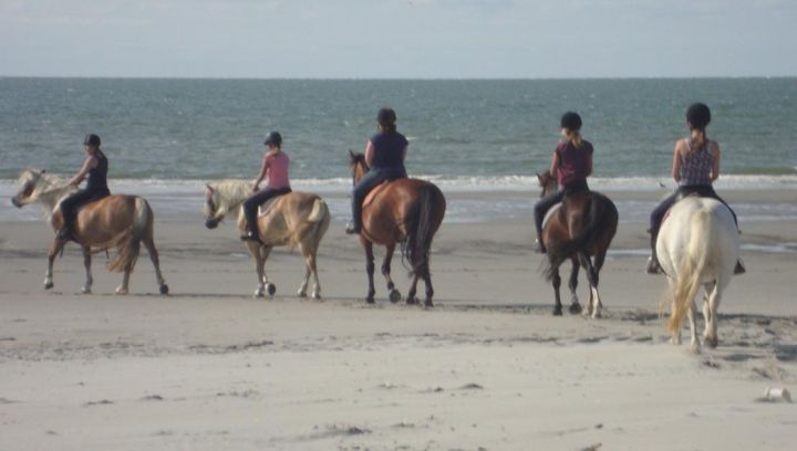 De Hollumer Trap - VVV Ameland