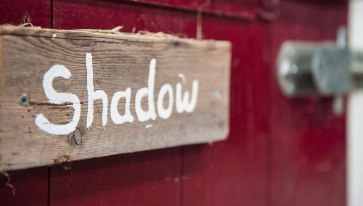 Filmset Penny´s Shadow - Tourist information 