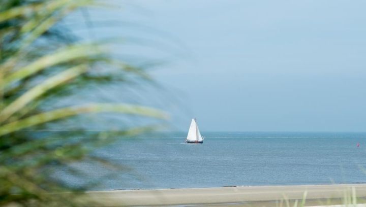 History of the Wadden island Ameland - Tourist Information Centre 