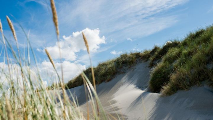 Vakantiehuizen Hollum 5-6 personen - VVV Ameland