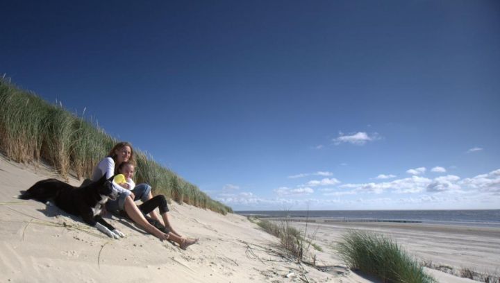  Hotels on Ameland - Tourist Information 