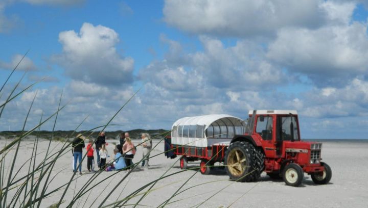 Covered Wagon Tours Brouwer - Tourist Information 