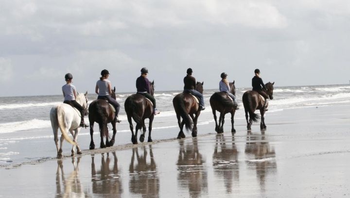 Riding stable 't Jutterspad - Tourist Information 