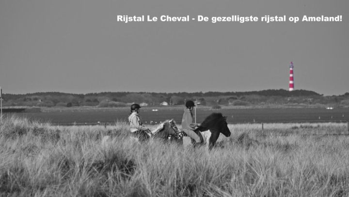 Riding stable Le Cheval - Tourist Information Ameland