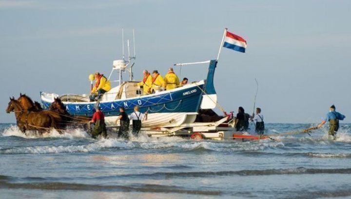 Demonstration horse-drawn rescue boat - Tourist Information Centre 