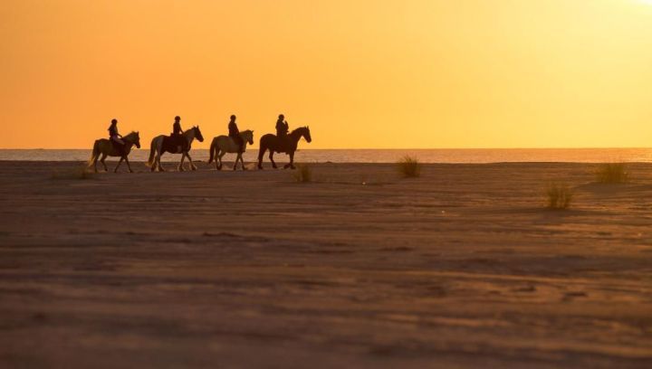 Horseback riding and covered wagon rides - Tourist information 