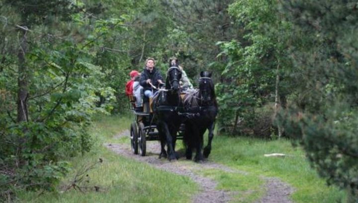 Stable van Buren - rental groups rides - Tourist Information 