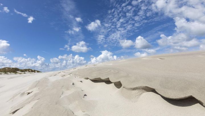 Beach and shell excursion - Tourist Information 