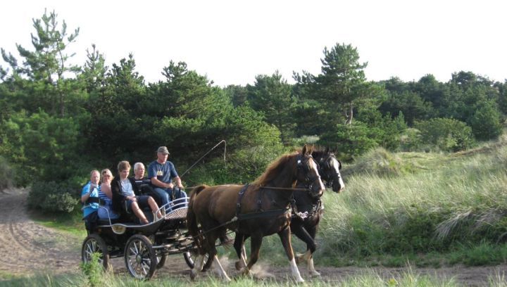  Recreational rides family De Boer - Tourist Information 