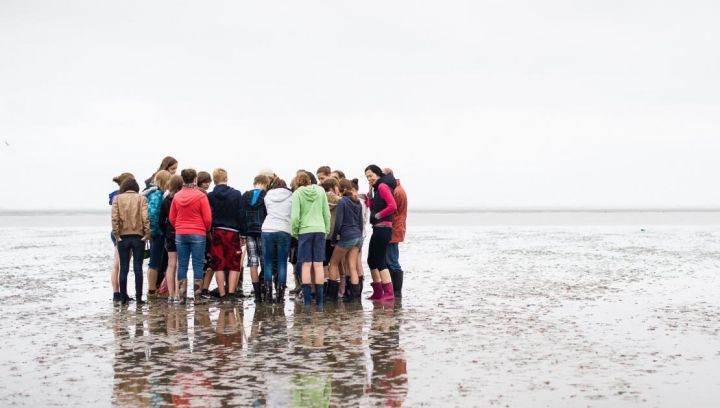 Mudflat excursion - Tourist Information 