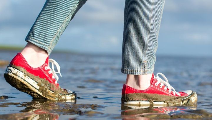 Mudflat excursion - Tourist Information 