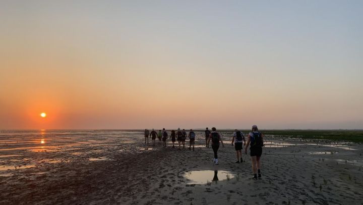 Mudflat wandering tour - Tourist Information 