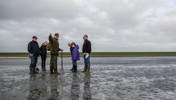 Wijnberg Mudflat excursions - Tourist Information 