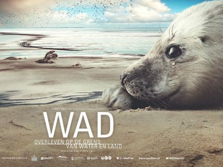 Film 'WAD, overleven op de grens van water en land' op Ameland - Ruben Smit Productions