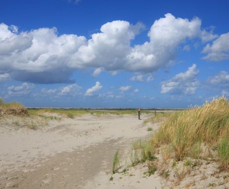 Green Beach - Tourist Information “VVV”Ameland