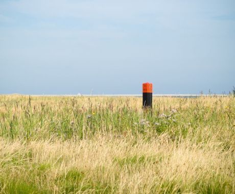 Green Beach - Tourist Information “VVV”Ameland