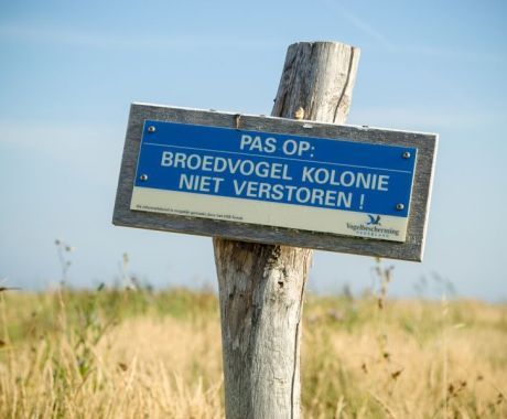 Green Beach - Tourist Information “VVV”Ameland