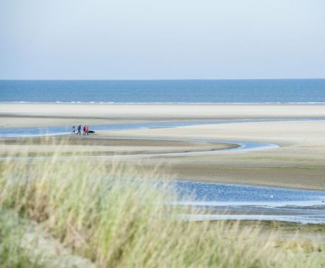 Green Beach - Tourist Information “VVV”Ameland
