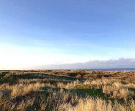 Origins of  Ameland - Tourist Information 