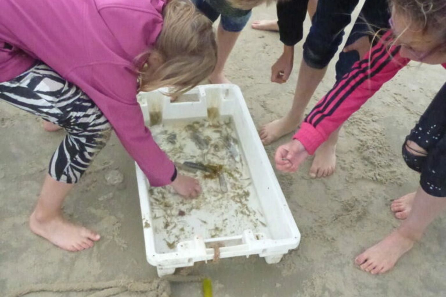 fishing with the trawl
