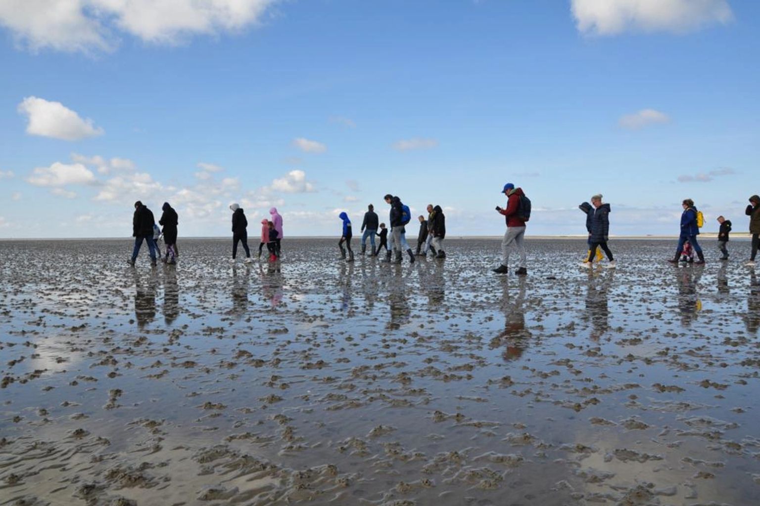 Mudflats excursions