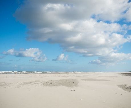 Nature - VVV Ameland