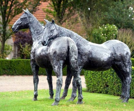 Horse island Ameland - Tourist Information “VVV”Ameland