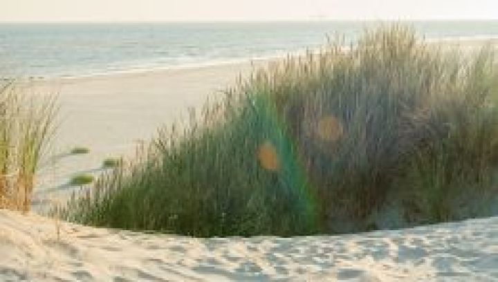 Frequently asked questions about the beach of Ameland - Tourist Information Centre VVV Ameland.