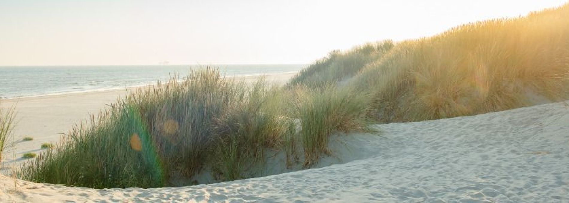Frequently asked questions about the beach of Ameland - Tourist Information Centre VVV Ameland.