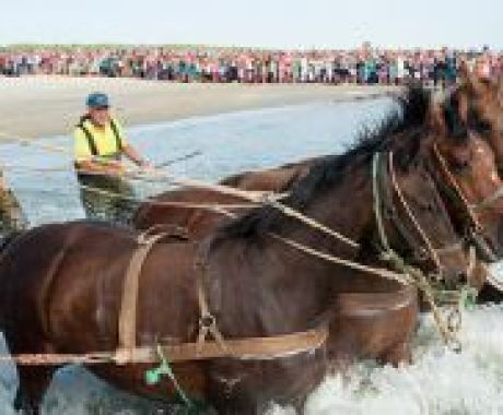 Demonstration horse-drawn lifeboat