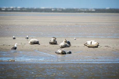 Programme of activities and events on Ameland - Tourist Information 