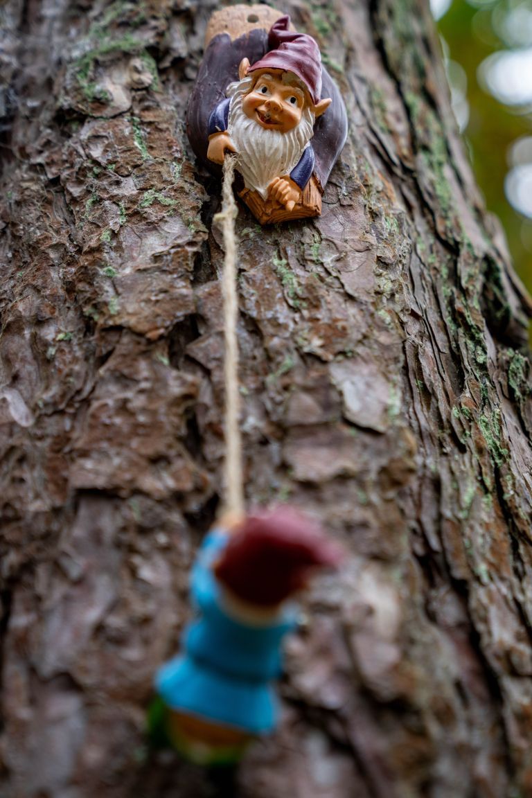 Gnome village Hollumer forest - VVV Ameland