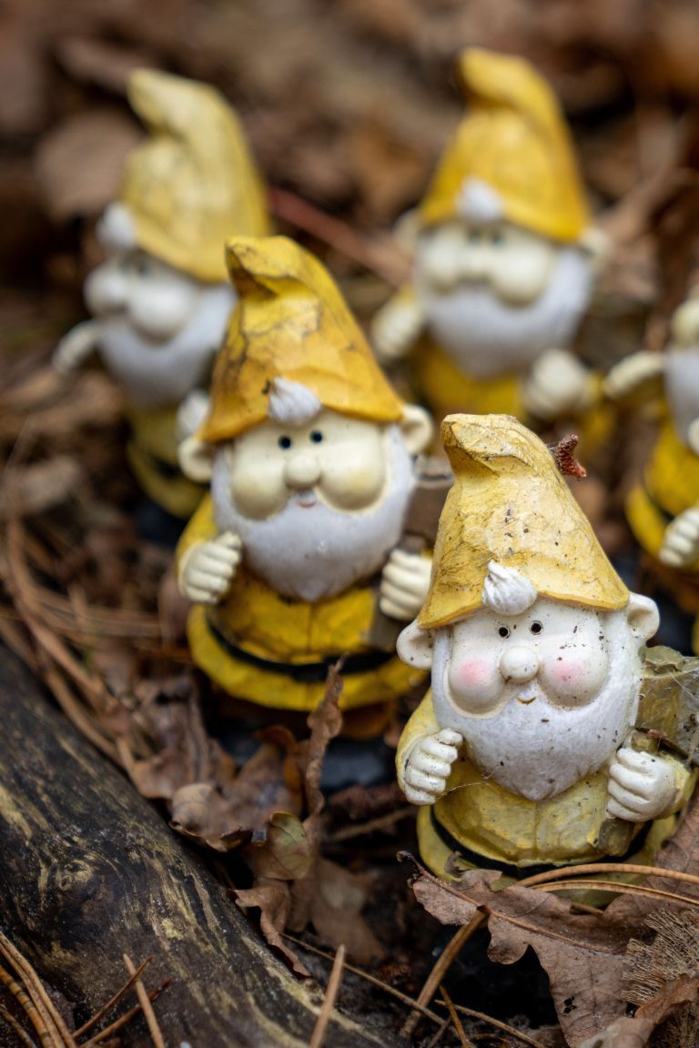 Gnome village Hollumer forest - VVV Ameland