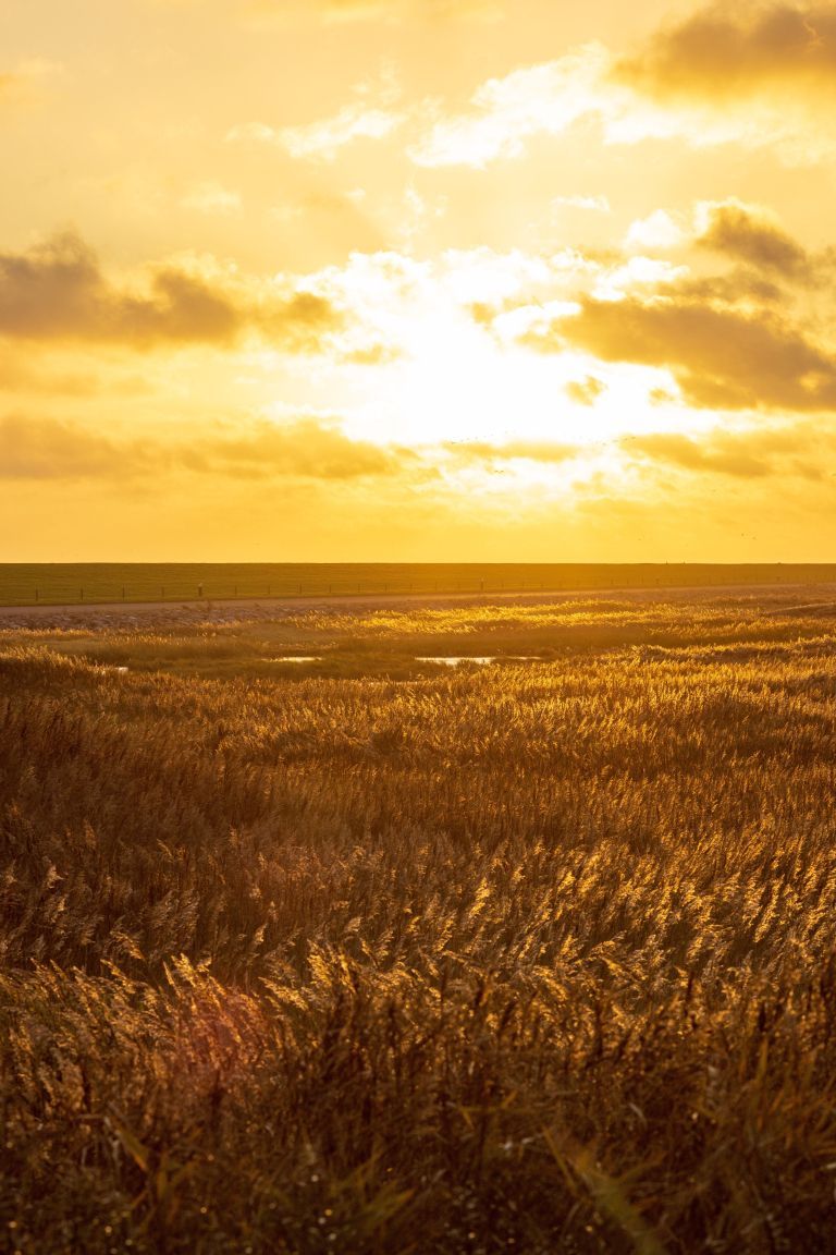 Discover the most beautiful sunsets on Ameland - VVV Ameland