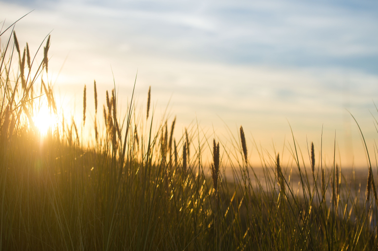 Time for outdoors, Ameland in the autumn - VVV Ameland