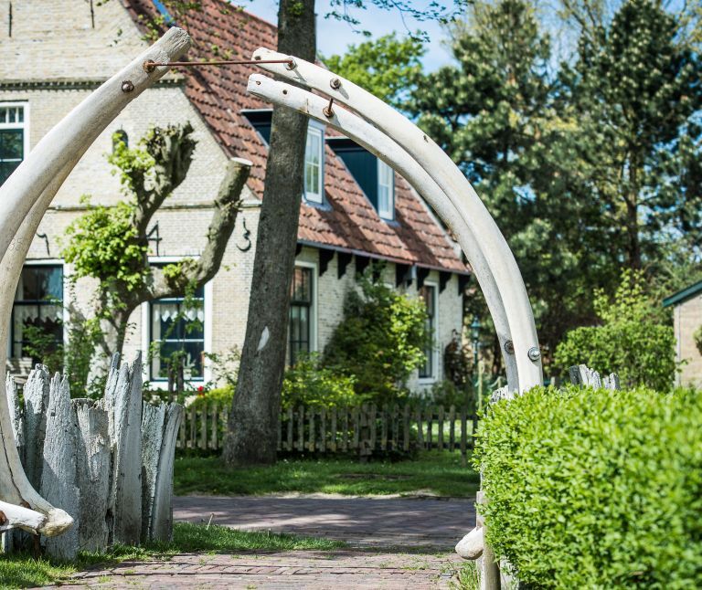 Hiking on Ameland - Tourist Information 