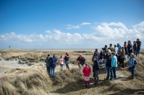 Programme of activities and events on Ameland - Tourist Information 
