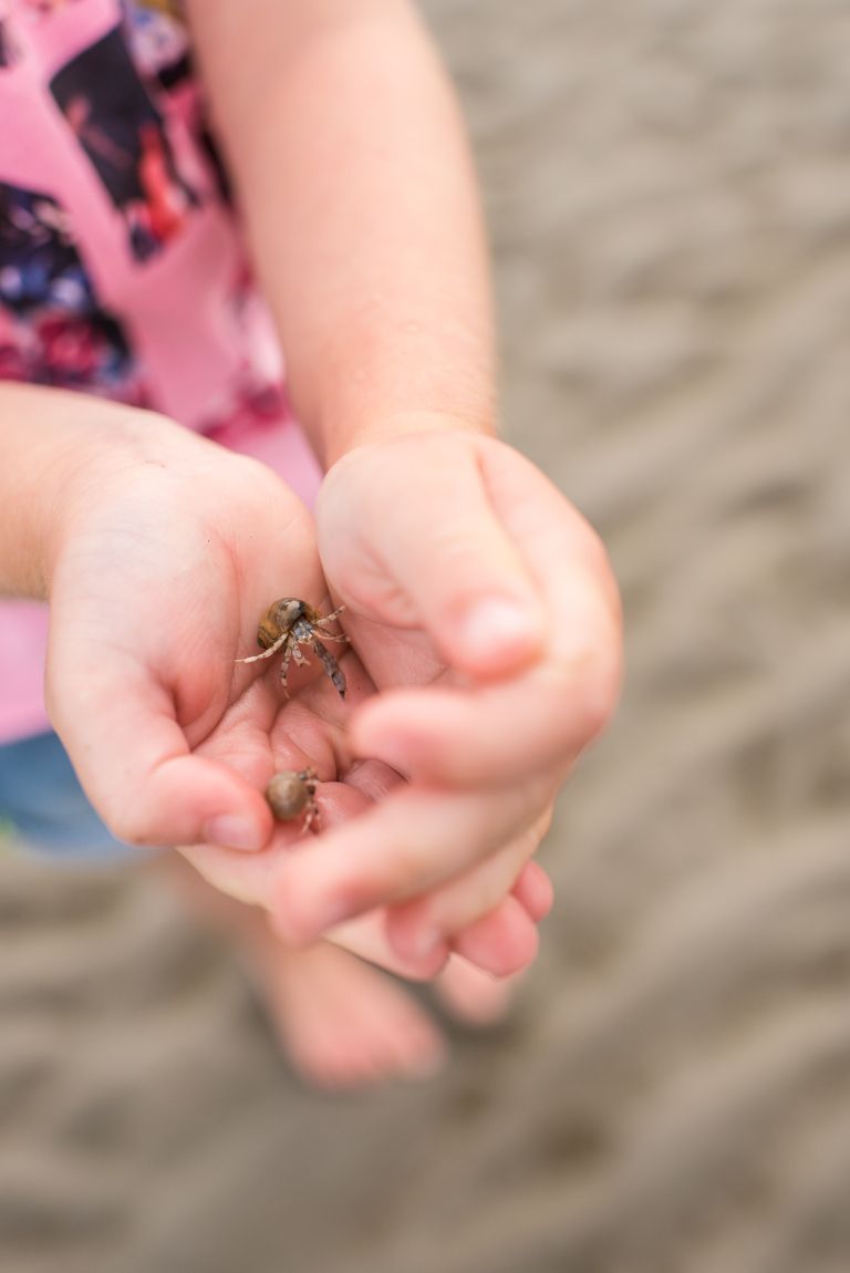 15x things to do on Ameland with children - from beach to treasure hunt - VVV Ameland