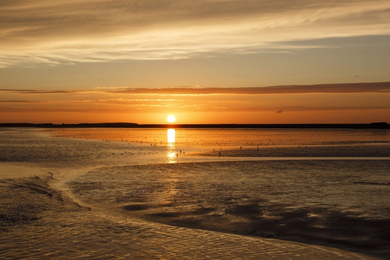 Discover the most beautiful sunsets on Ameland - VVV Ameland