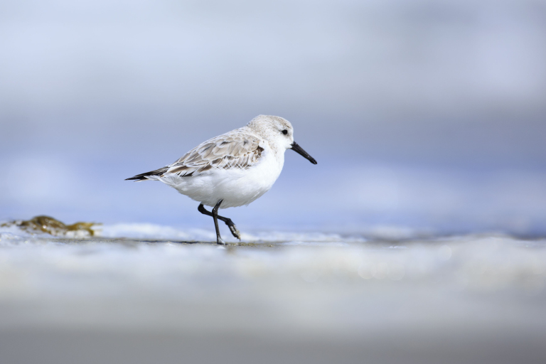 Time for outdoors, Ameland in the autumn - VVV Ameland