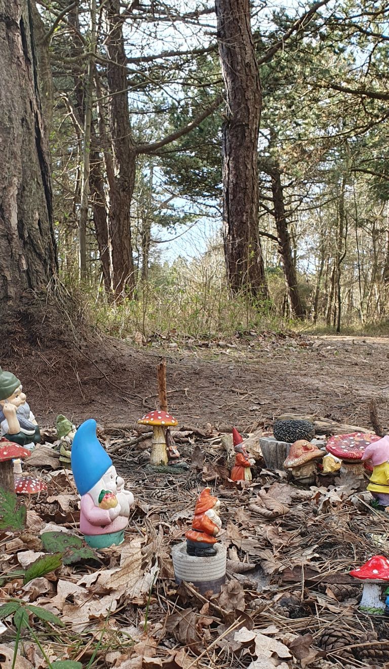 Gnome village Hollumer forest - VVV Ameland