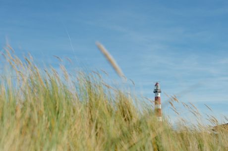 Day trip package Ameland - Tourist Information 