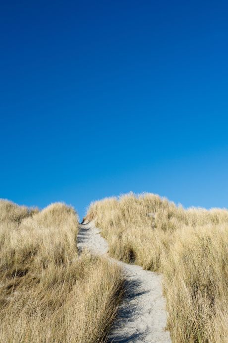 Walking events on Ameland - Tourist Information “VVV” Ameland