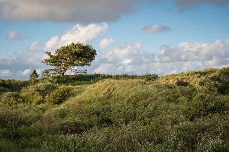 Walking events on Ameland - Tourist Information “VVV” Ameland