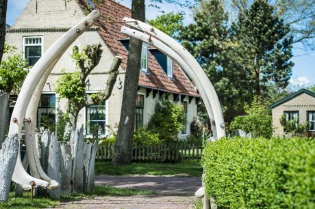 Hidde Dirks Kat - Tourist Information Centre 