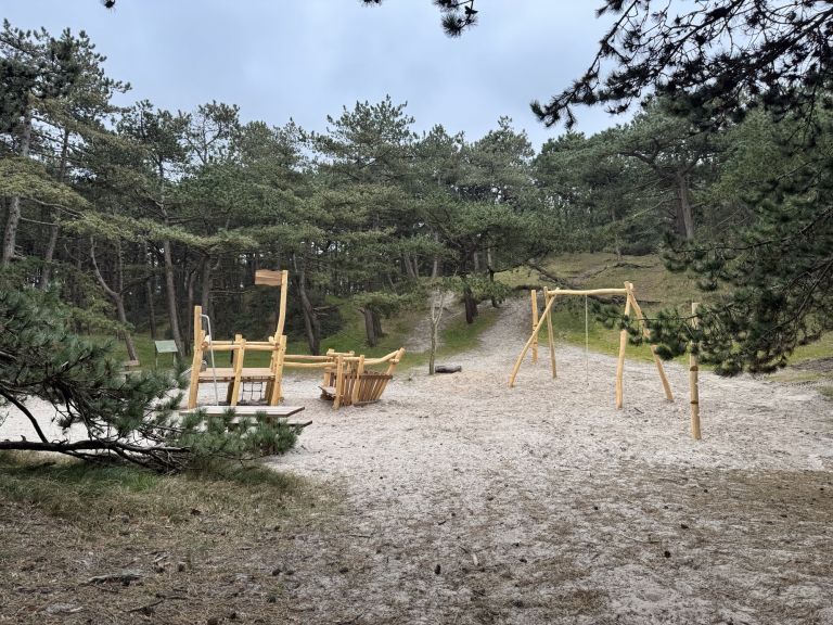 Playing in the Hollumer forest - VVV Ameland